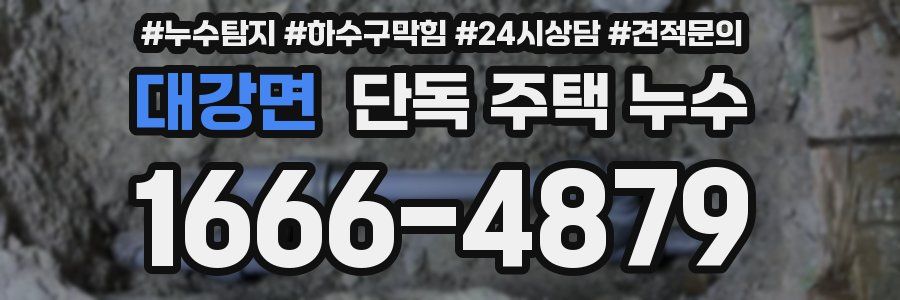 대강면 단독 주택 누수