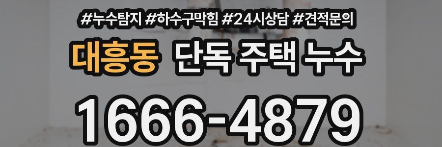 대흥동 단독 주택 누수