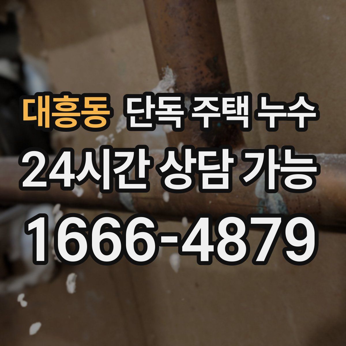 대흥동 단독 주택 누수