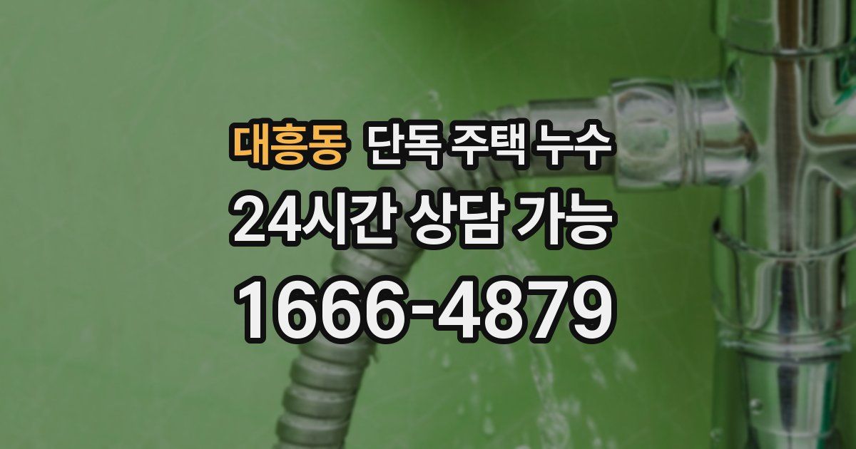 대흥동 단독 주택 누수