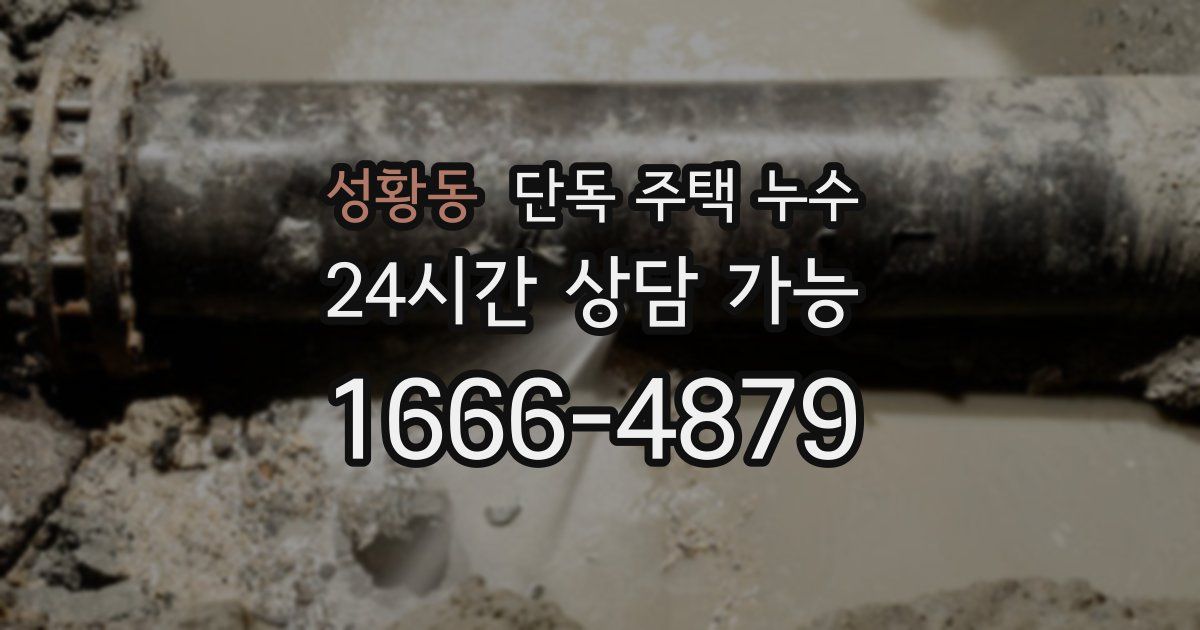 성황동 단독 주택 누수