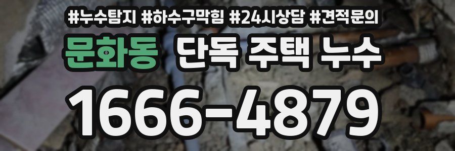 문화동 단독 주택 누수