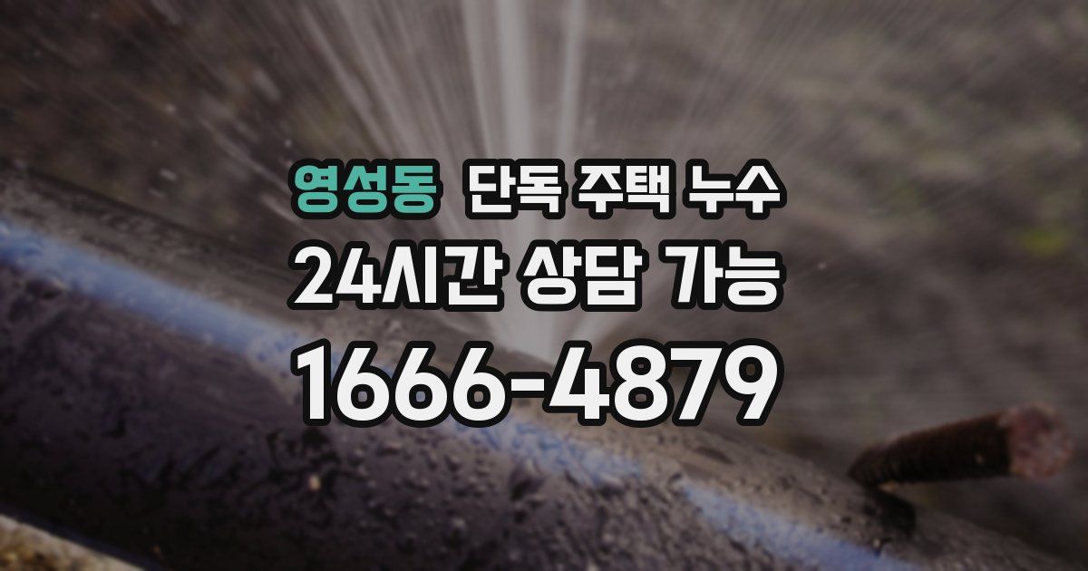 영성동 단독 주택 누수