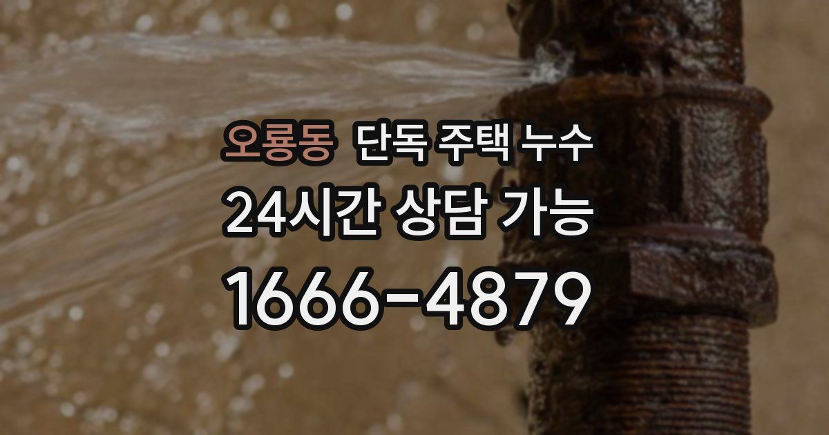 오룡동 단독 주택 누수