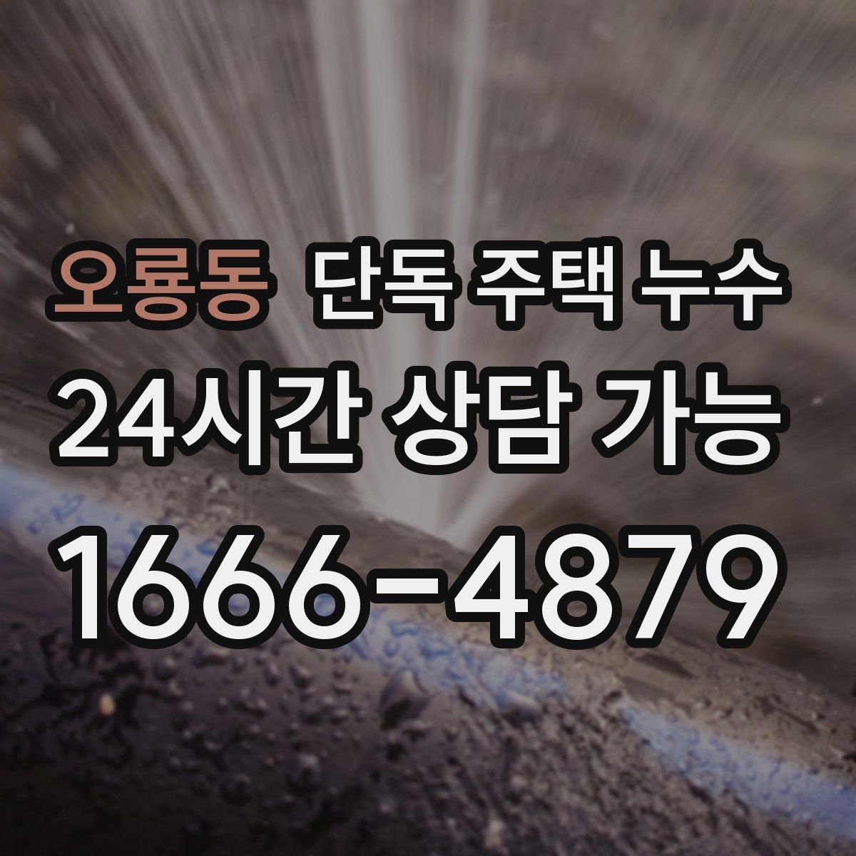 오룡동 단독 주택 누수