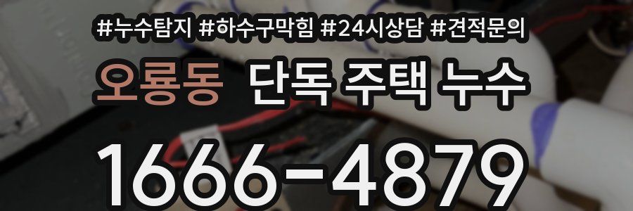 오룡동 단독 주택 누수