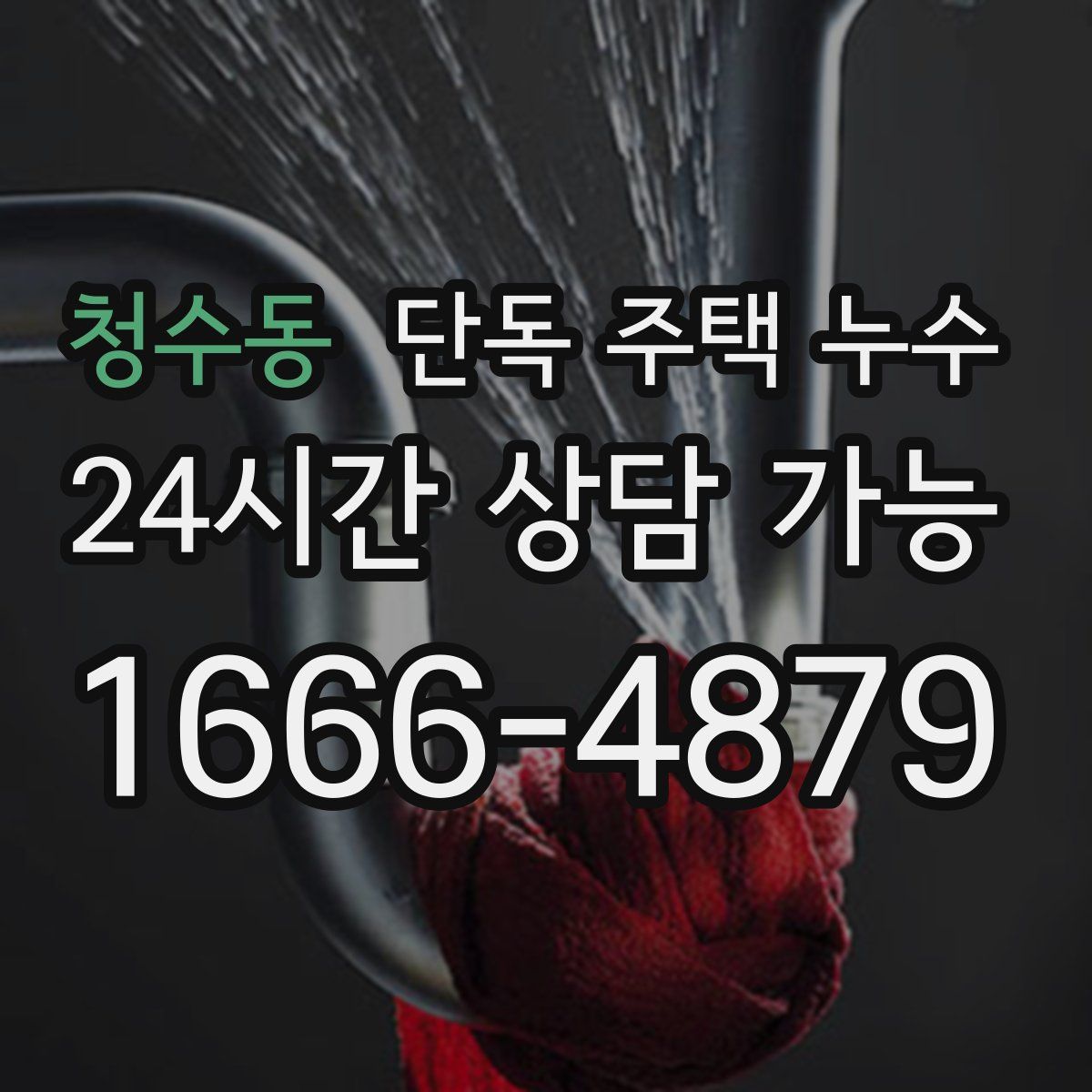 청수동 단독 주택 누수