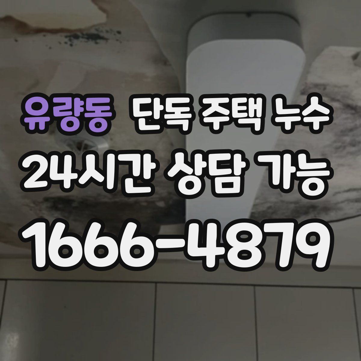 유량동 단독 주택 누수