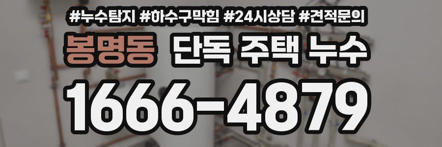 봉명동 단독 주택 누수