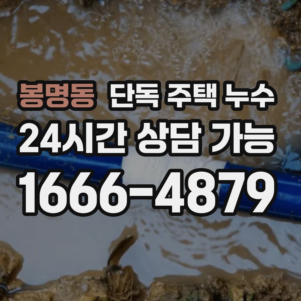 봉명동 단독 주택 누수