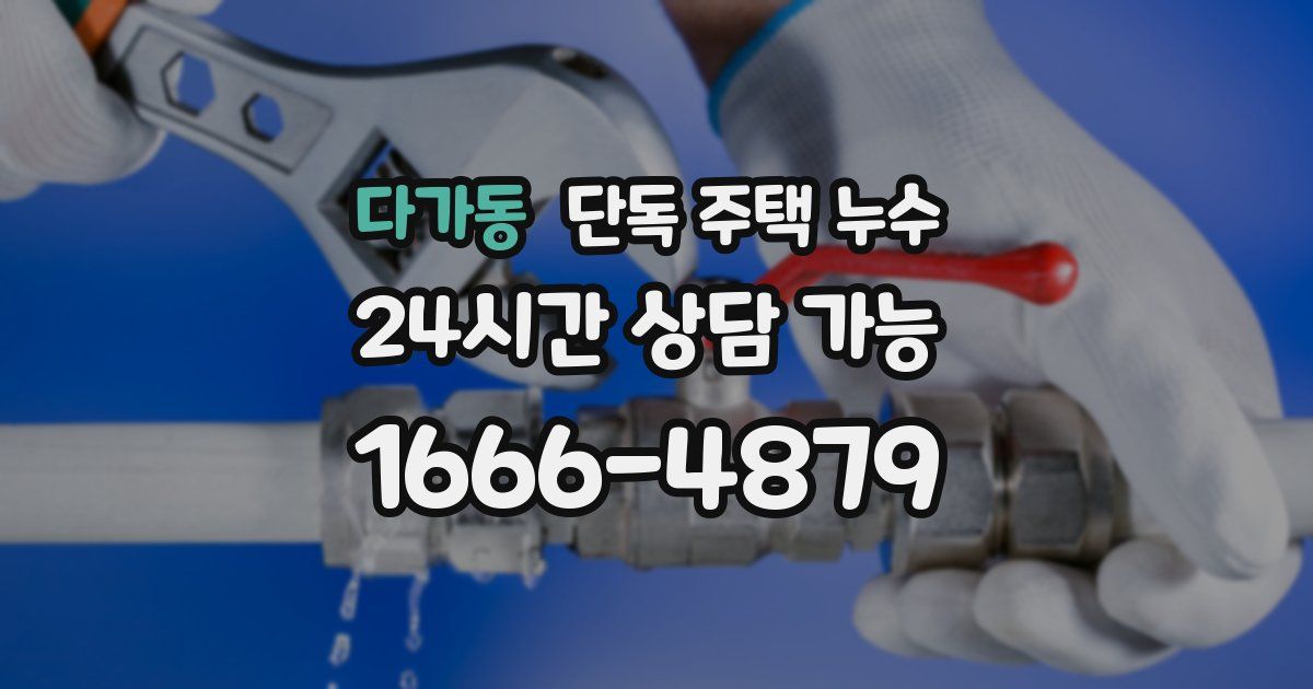 다가동 단독 주택 누수