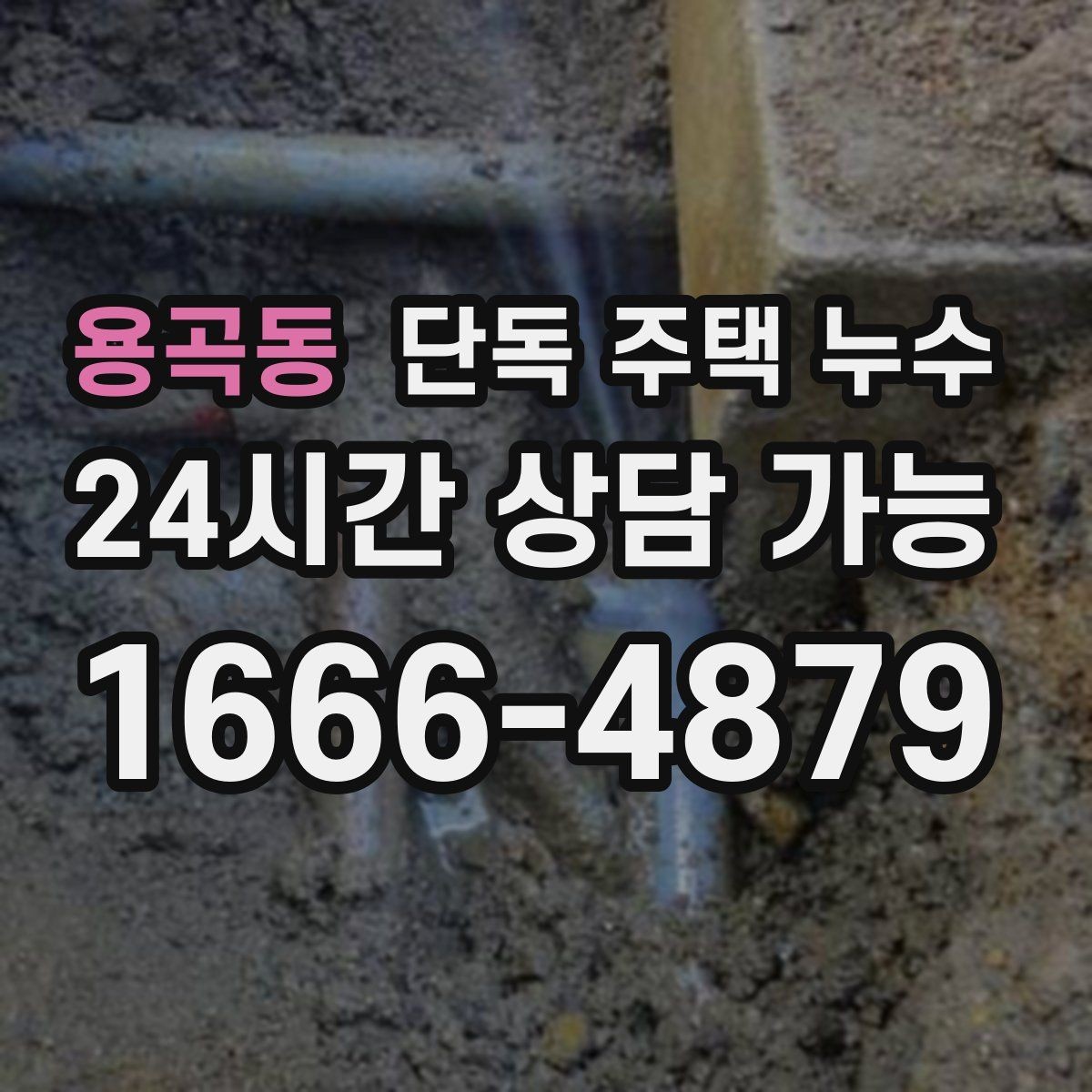 용곡동 단독 주택 누수 곰팡이 냄새가 진해지면 원인부터 점검
