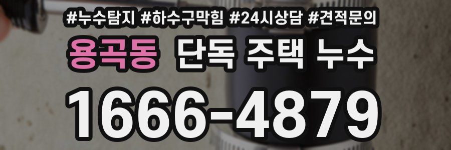 용곡동 단독 주택 누수