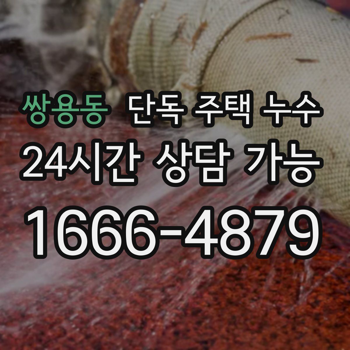 쌍용동 단독 주택 누수