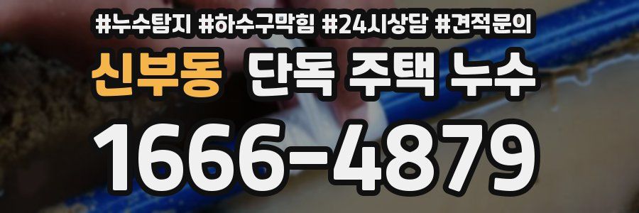 신부동 단독 주택 누수