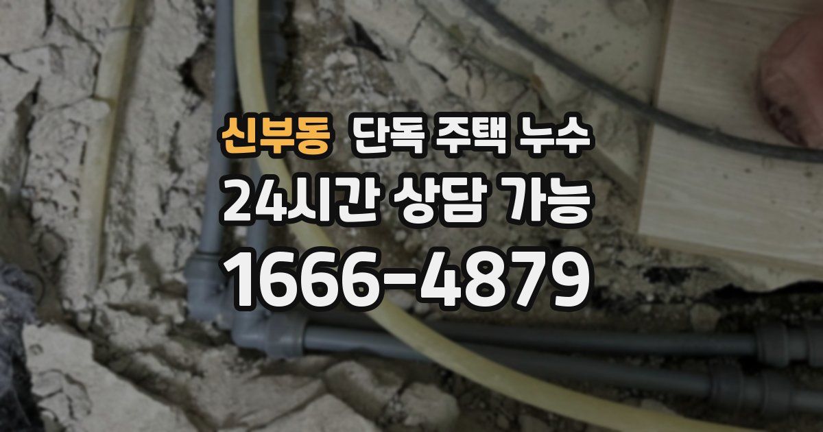 신부동 단독 주택 누수
