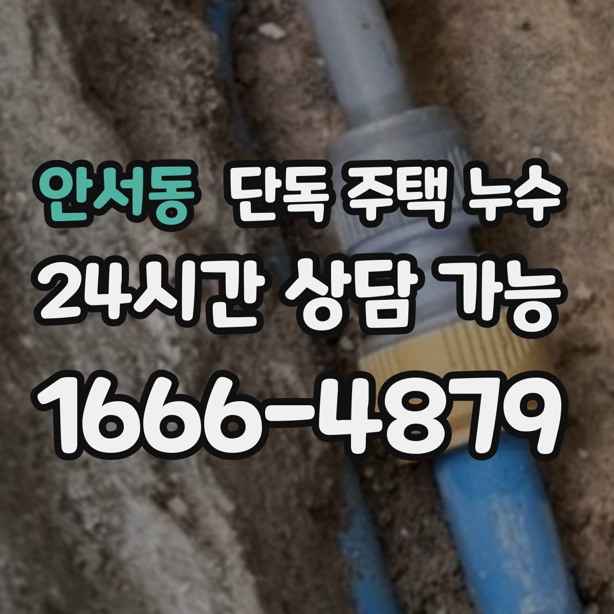 안서동 단독 주택 누수