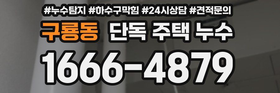 구룡동 단독 주택 누수