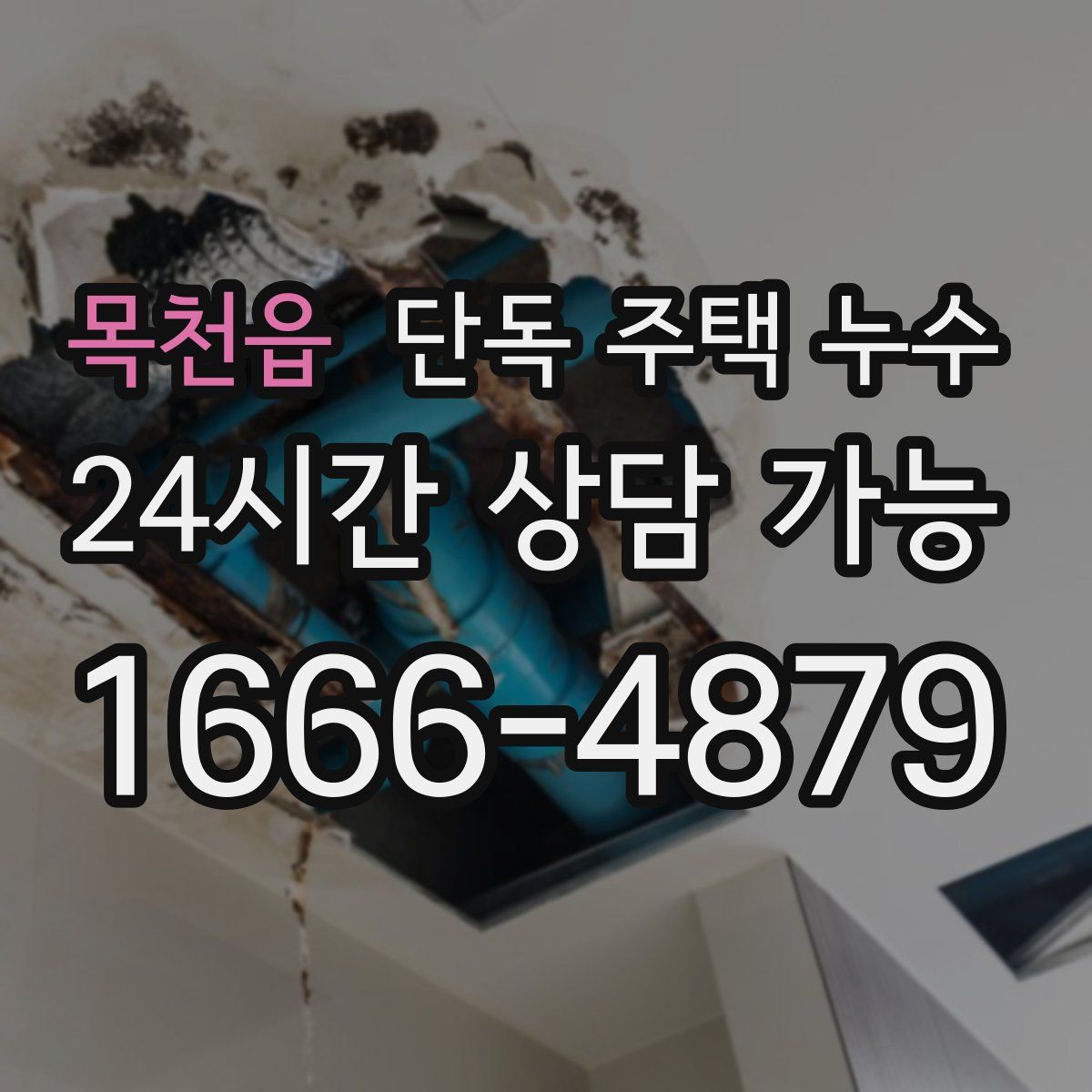 목천읍 단독 주택 누수