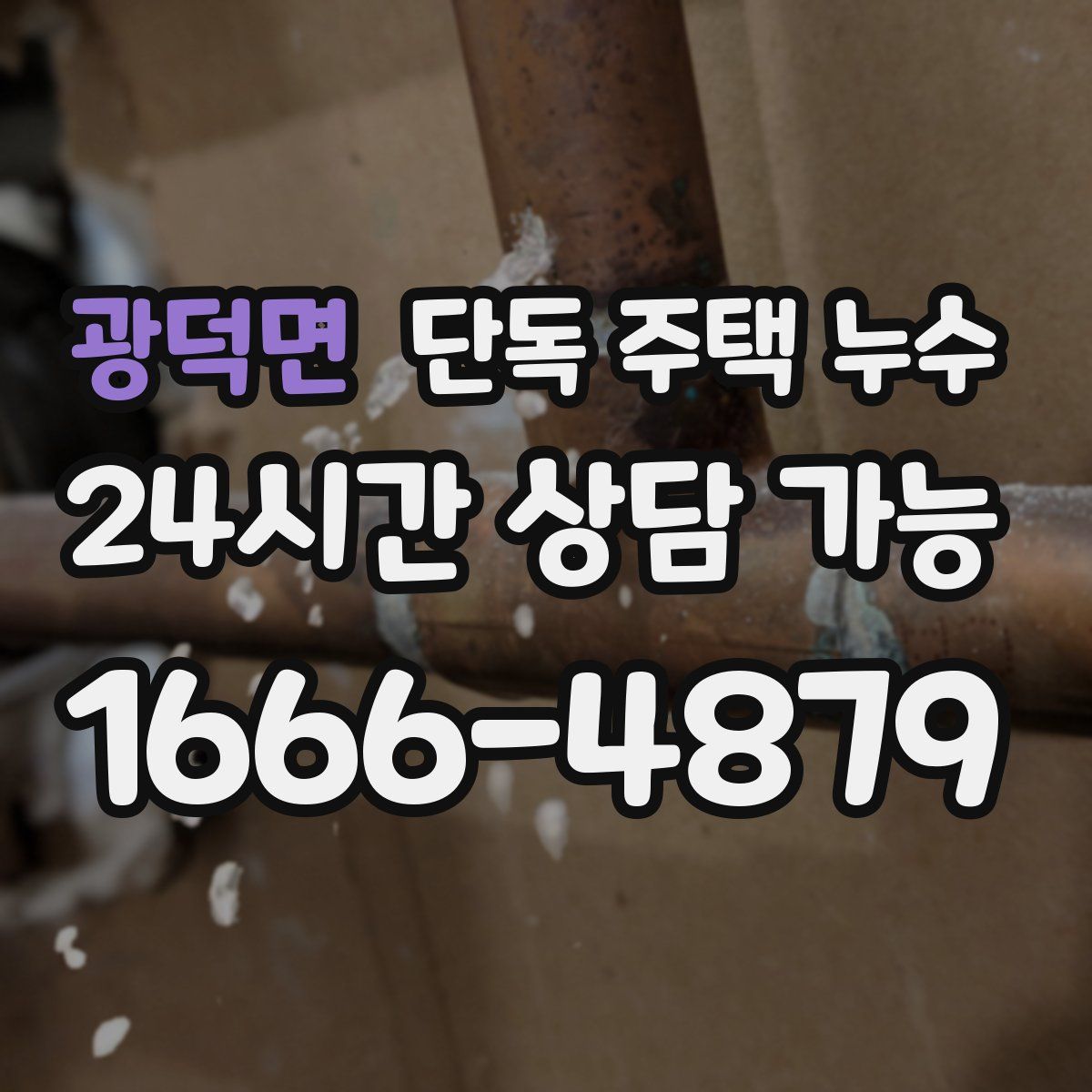 광덕면 단독 주택 누수