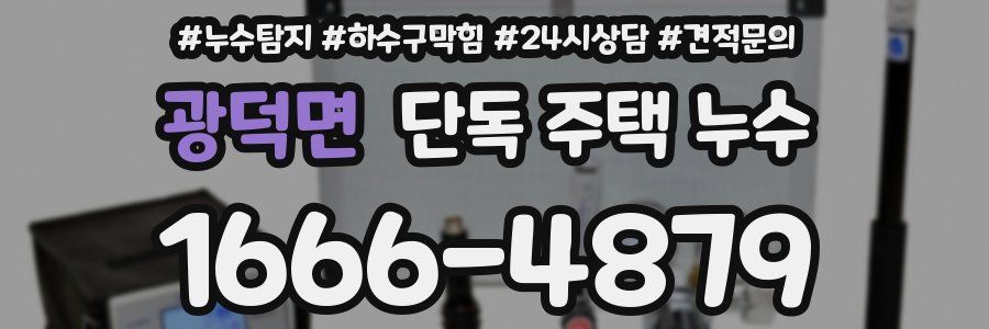 광덕면 단독 주택 누수