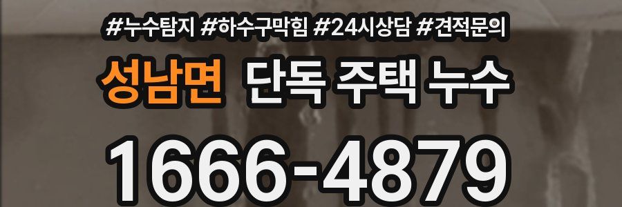 성남면 단독 주택 누수