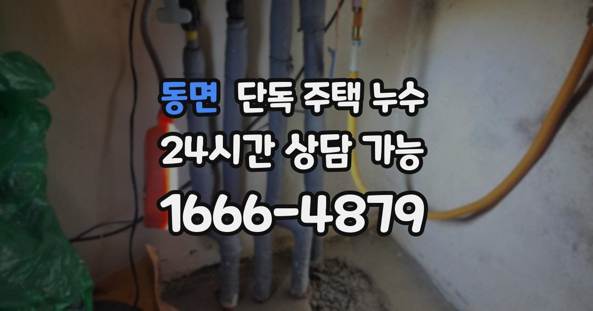 동면 단독 주택 누수