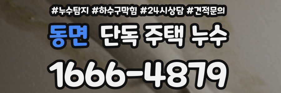 동면 단독 주택 누수