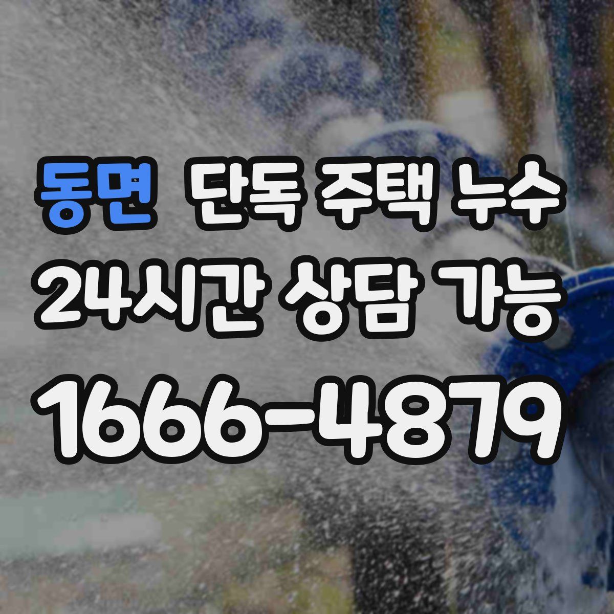 동면 단독 주택 누수