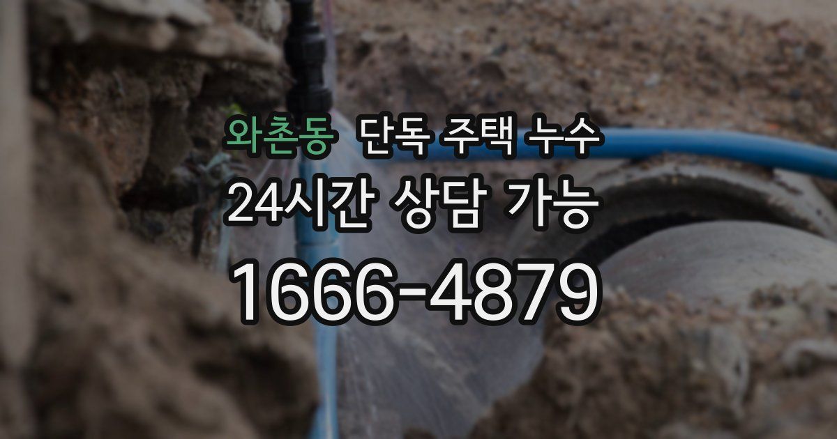 와촌동 단독 주택 누수