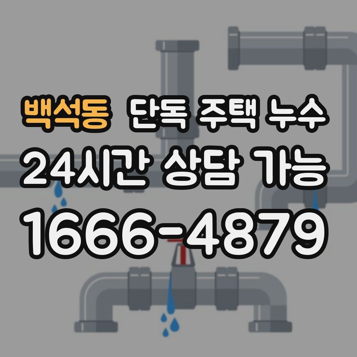 백석동 단독 주택 누수 빗물받이 막힘을 방치하면 생기는 일