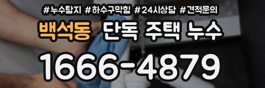 백석동 단독 주택 누수