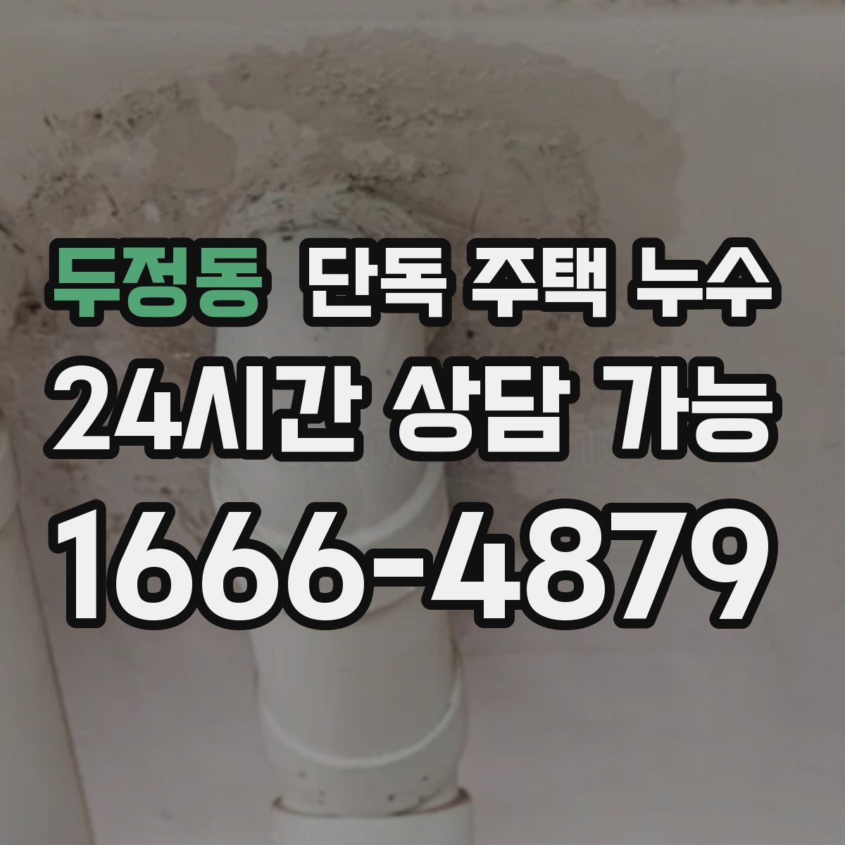 두정동 단독 주택 누수