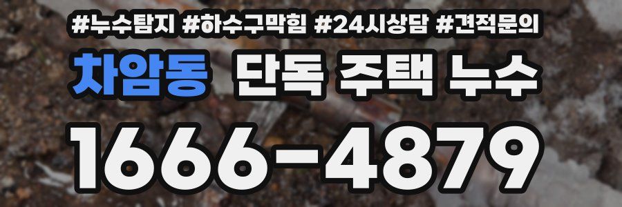 차암동 단독 주택 누수