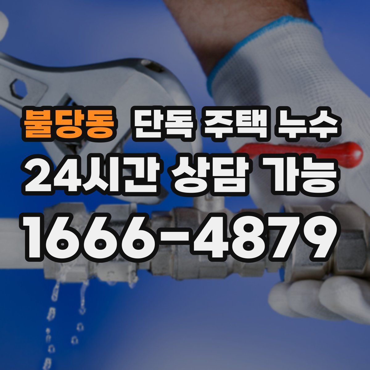 불당동 단독 주택 누수