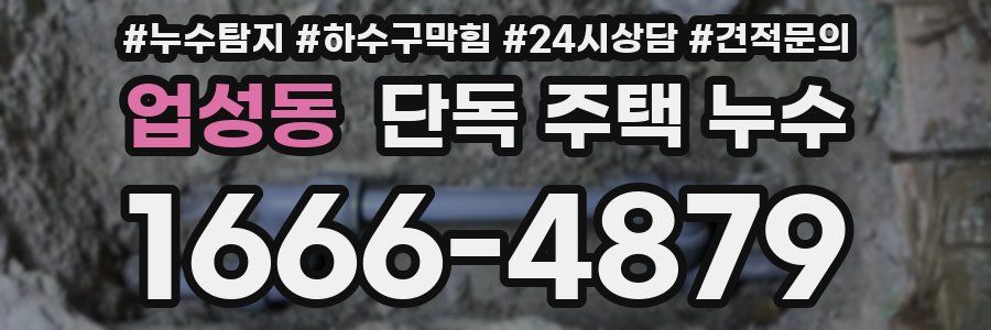 업성동 단독 주택 누수