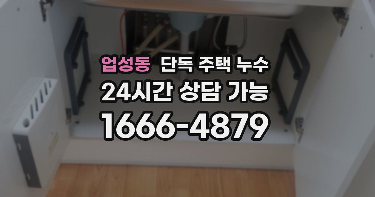 업성동 단독 주택 누수