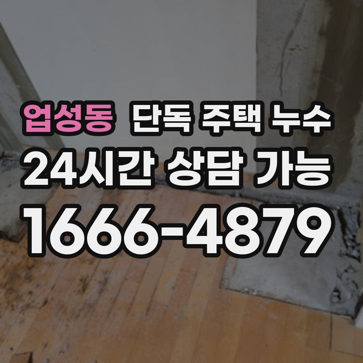 업성동 단독 주택 누수