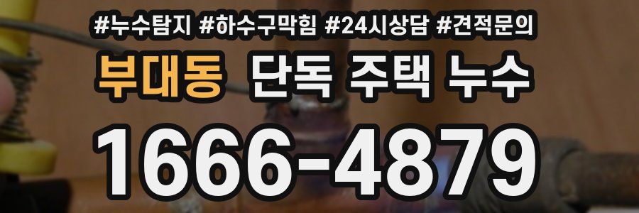 부대동 단독 주택 누수