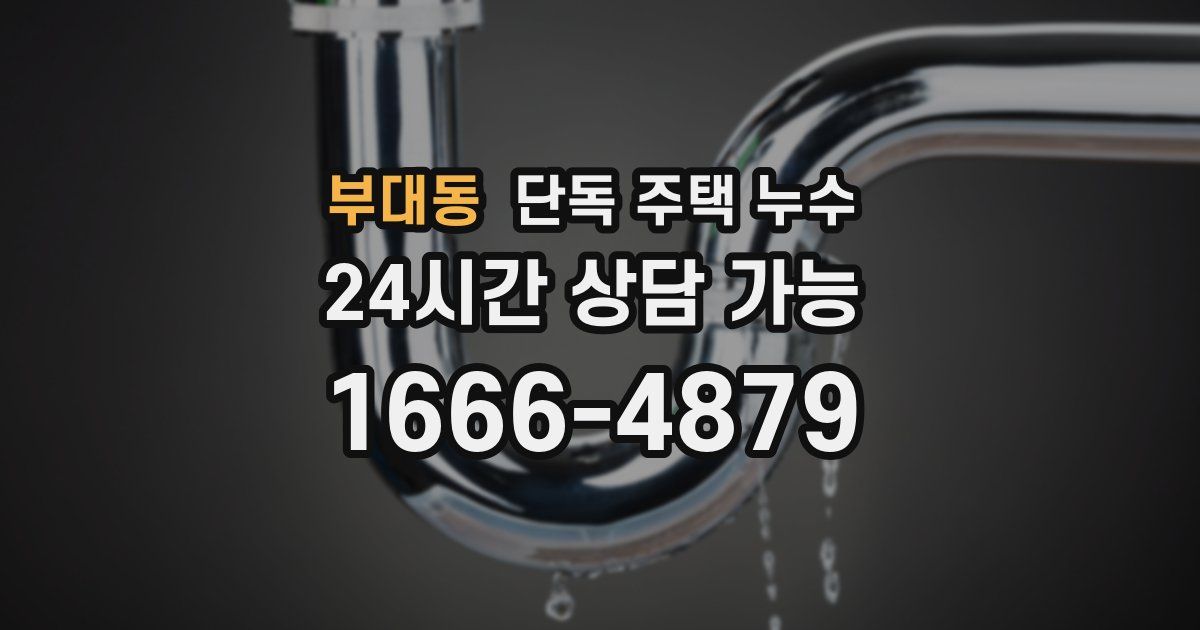 부대동 단독 주택 누수