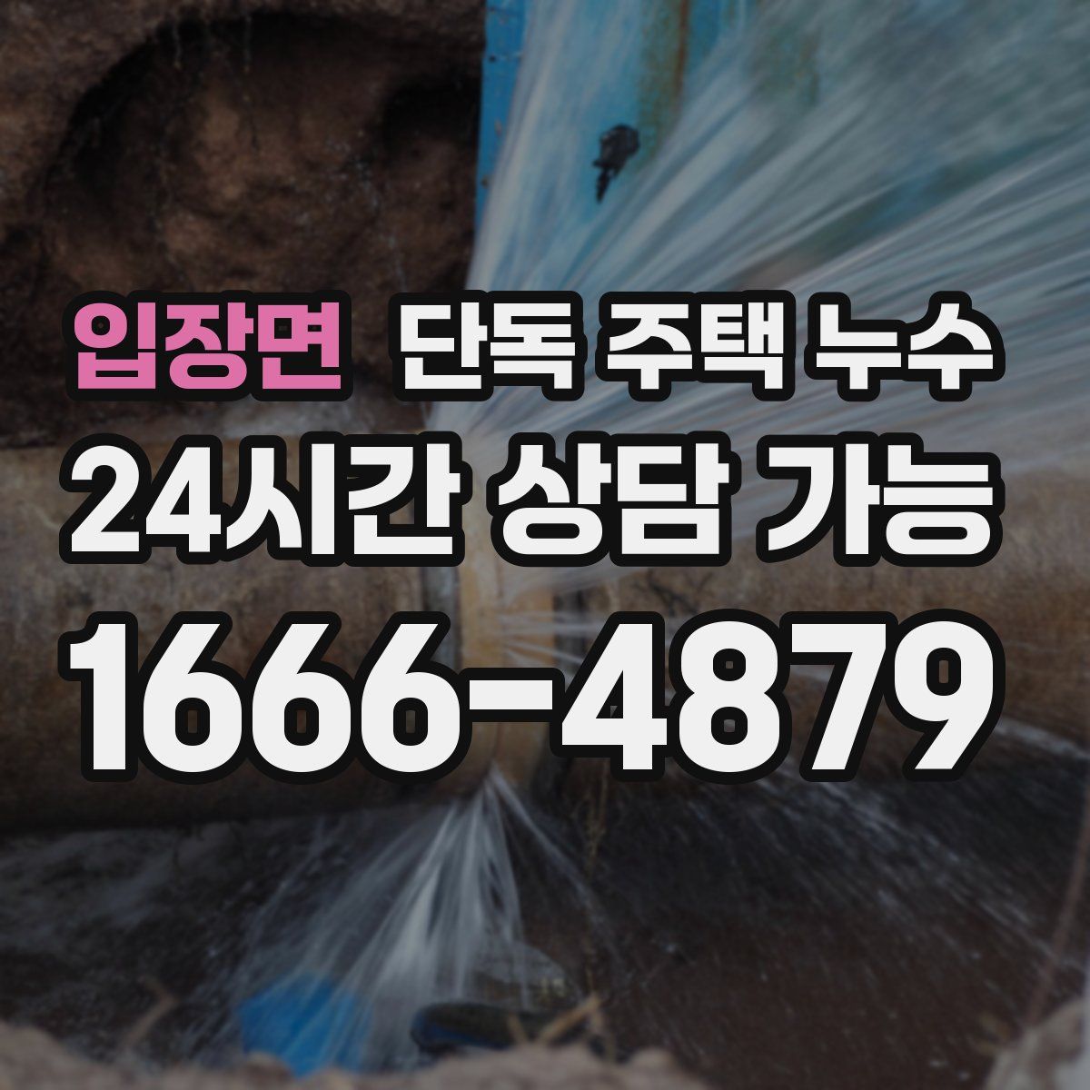 입장면 단독 주택 누수