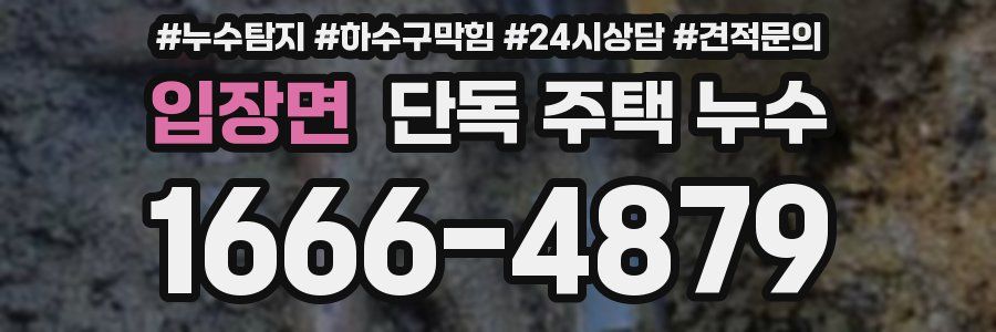 입장면 단독 주택 누수