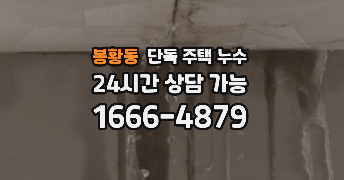 봉황동 단독 주택 누수