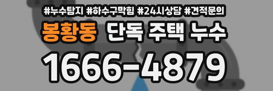 봉황동 단독 주택 누수