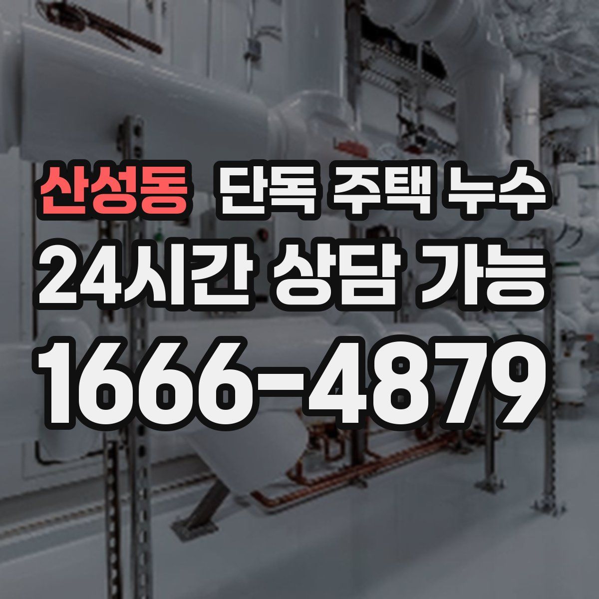 산성동 단독 주택 누수