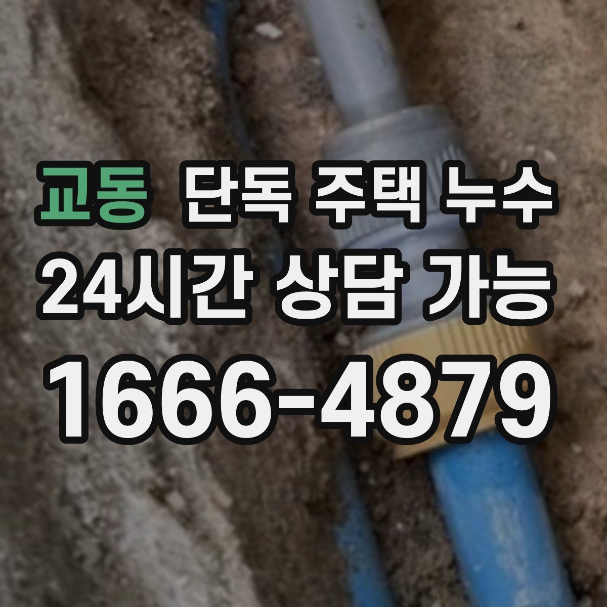 교동 단독 주택 누수 외벽 균열이 작은데도 물이 스며드는 경우