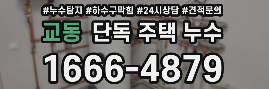 교동 단독 주택 누수