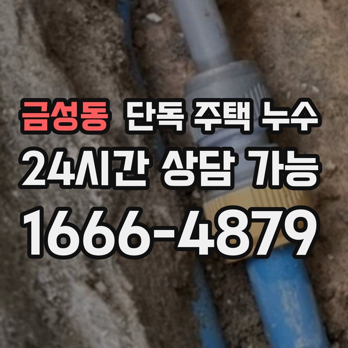금성동 단독 주택 누수 정수기 연결부 주변 물고임 점검