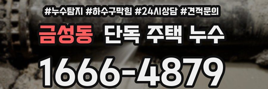금성동 단독 주택 누수