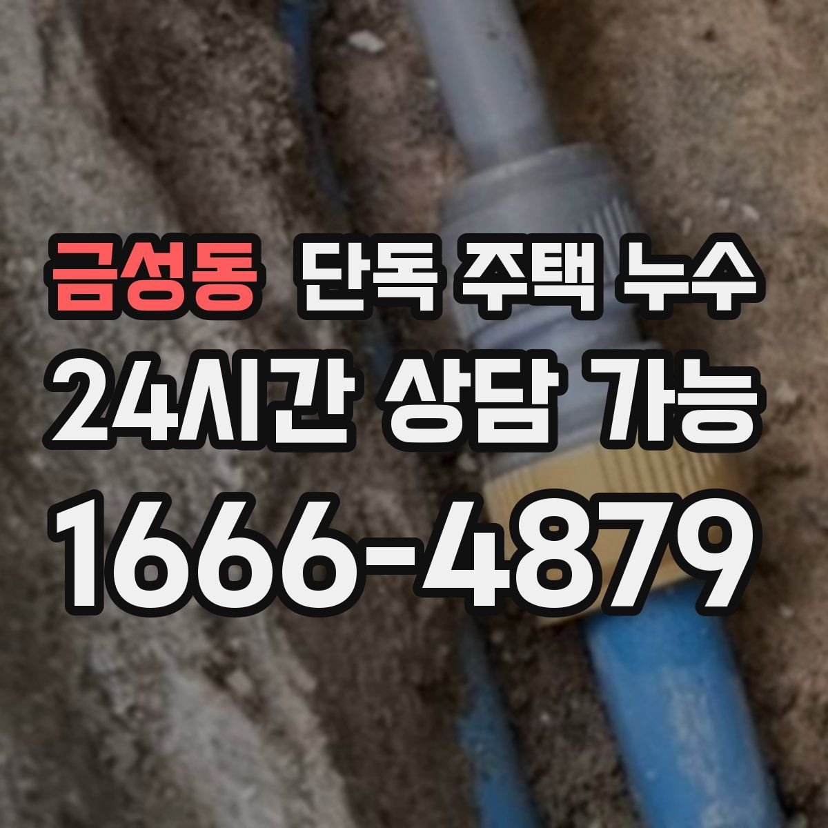 금성동 단독 주택 누수